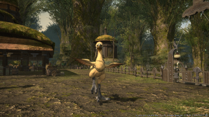 FINAL FANTASY XIV- A Realm Reborn (10)