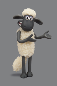 SHAUN 6